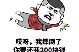 宁都专业讨债公司有哪些核心服务？